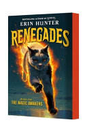 Renegades: The Magic Awakens cover