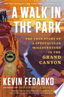 Walk in the Park cover