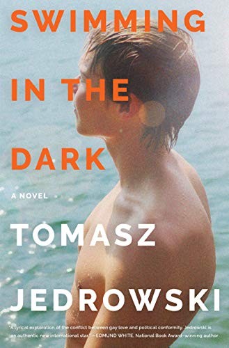 Swimming in the Dark cover