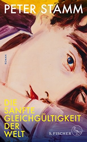 Die sanfte Gleichgültigkeit der Welt cover