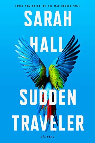 Sudden Traveler cover