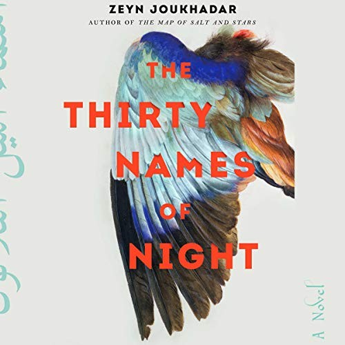 The Thirty Names of Night cover
