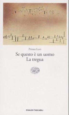 Se questo è un uomo cover