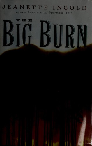 The Big Burn cover