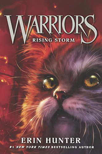 Rising Storm cover