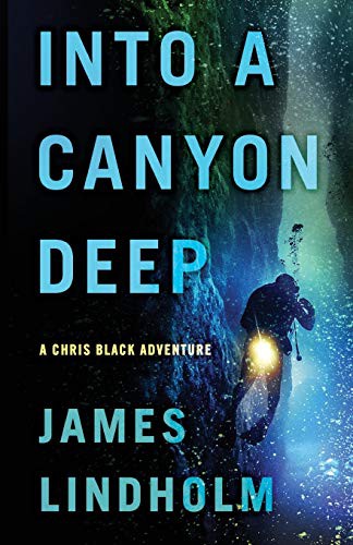 Into a Canyon Deep cover