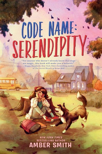Code Name Serendipity cover
