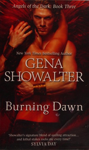 Burning dawn cover