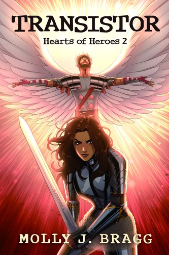 Transistor cover