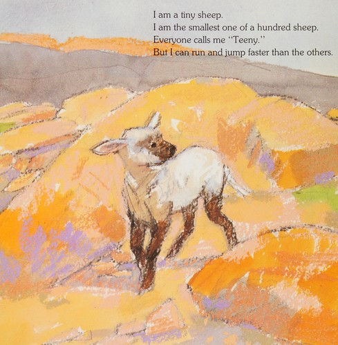 The tiny sheep cover