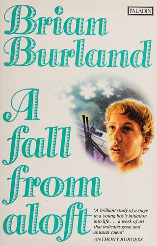 A fall from aloft cover