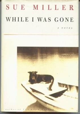 While I Was Gone cover