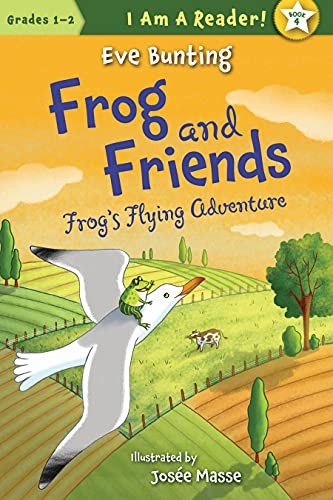 Frog's flying adventure cover