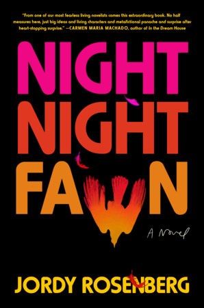 Night Night Fawn cover