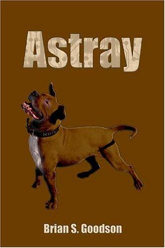 Astray cover