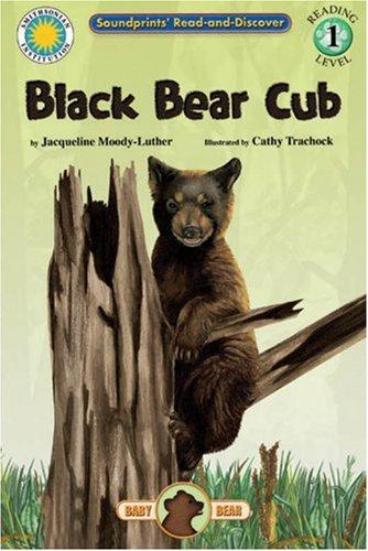 Black Bear Cub (Read and Discover) cover