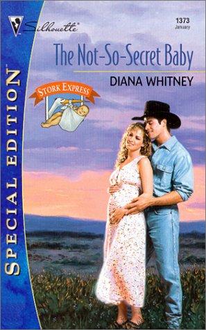 Not - So - Secret Baby cover