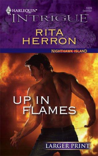 Up In Flames cover