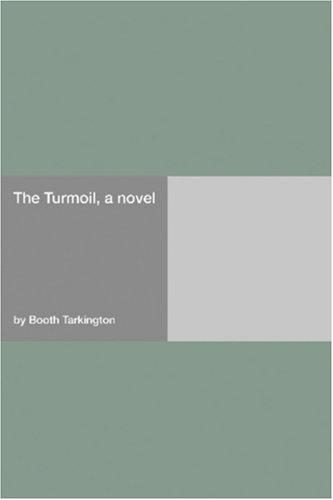 The turmoil, a novel cover