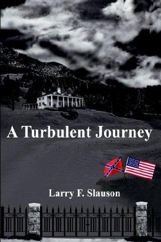 A Turbulent Journey cover