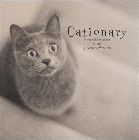 Cationary cover