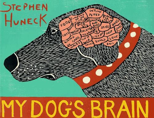 My dog's brain cover