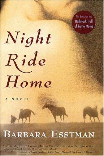 Night ride home cover