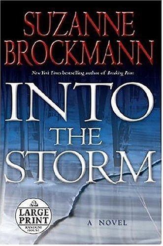 Into the Storm cover