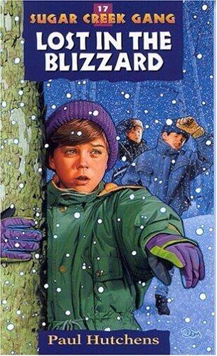 Lost in the blizzard cover
