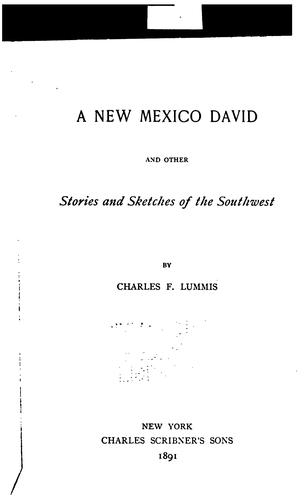 A New Mexico David cover
