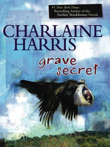 Grave secret cover