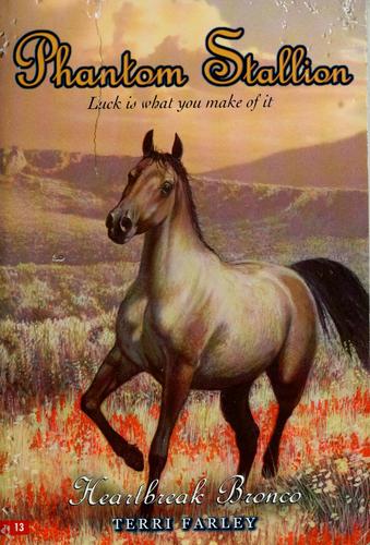 Heartbreak bronco cover