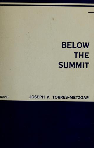 Below the summit cover