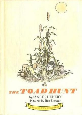 The Toad Hunt cover