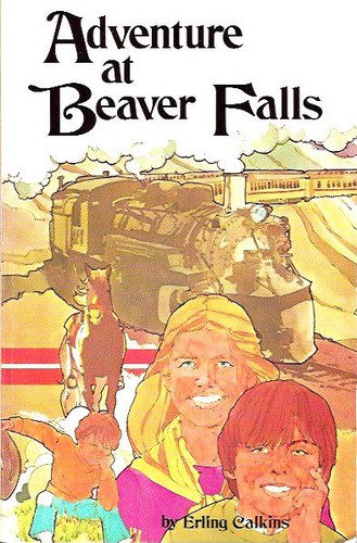 Adventure at Beaver Falls cover