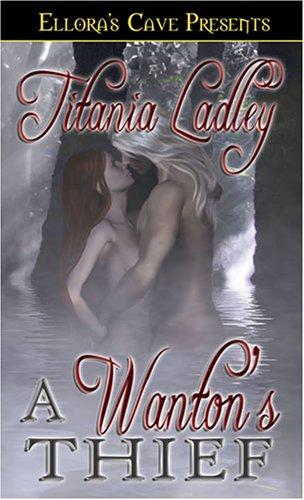 A Wanton's Thief cover