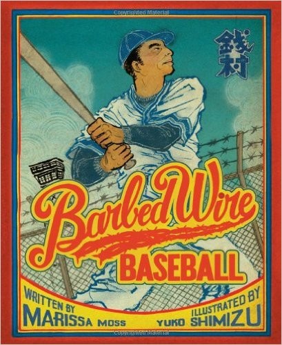 Barbed wire baseball cover