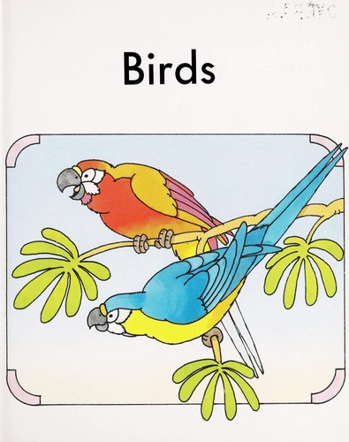 Stg 3D Birds Is cover