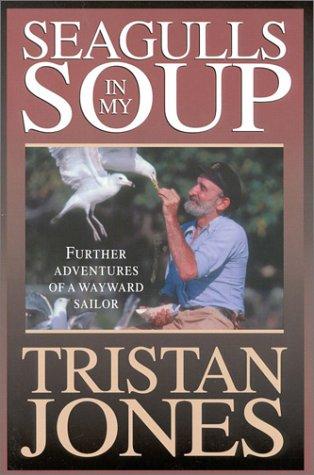 Seagulls in my soup cover