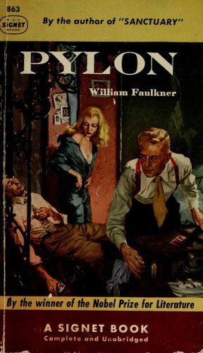 Pylon cover