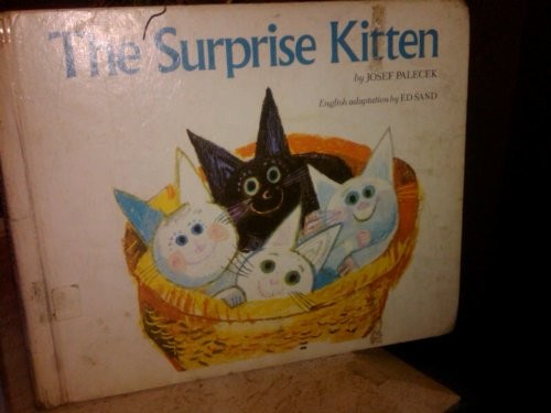 The surprise kitten cover
