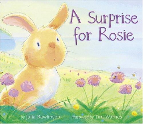 A surprise for Rosie cover