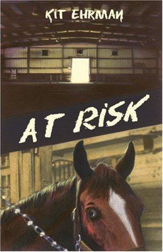 At Risk (Steve Cline Mysteries) cover