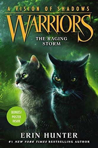 The Raging Storm cover