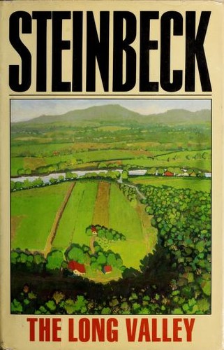 The Long Valley cover